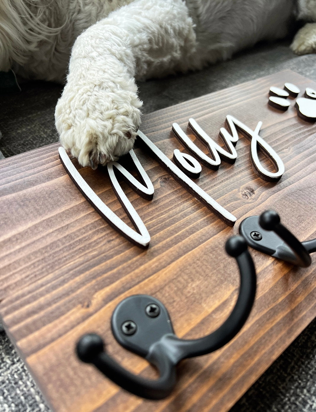 Custom Dog Leash Holder and Entryway Organizer