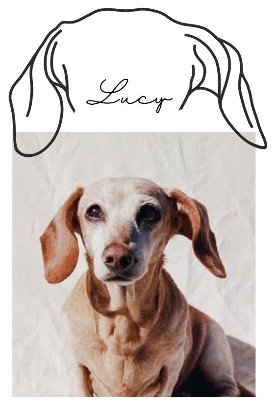 DIGITAL FILE - Custom Drawn Dog Ear Outline + Name