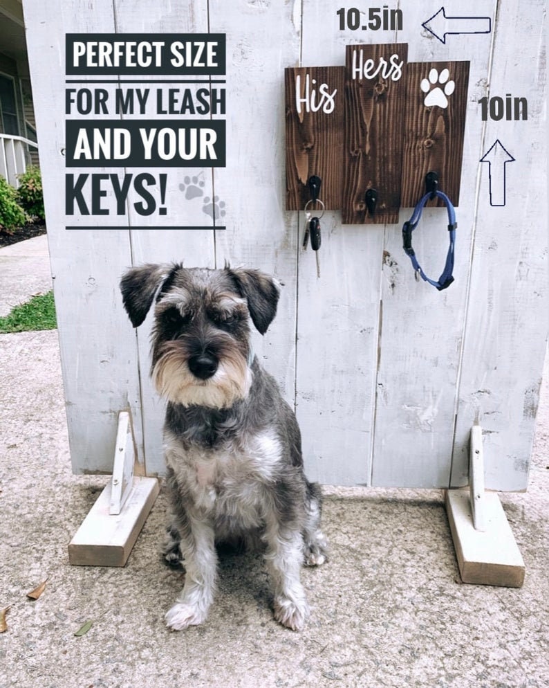 His and Hers Dog Leash Holder - Entryway Key and Leash Organizer