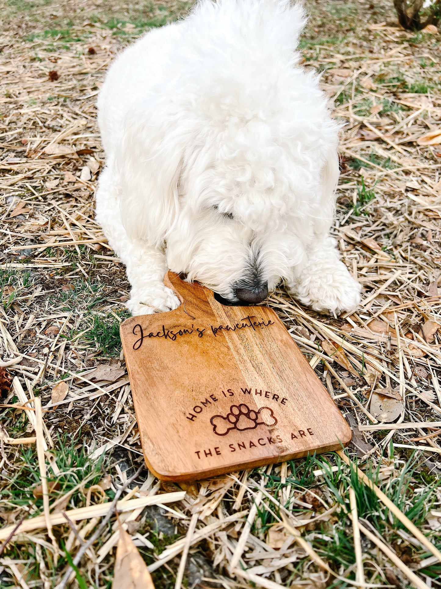 Personalized Dog Charcuterie Board