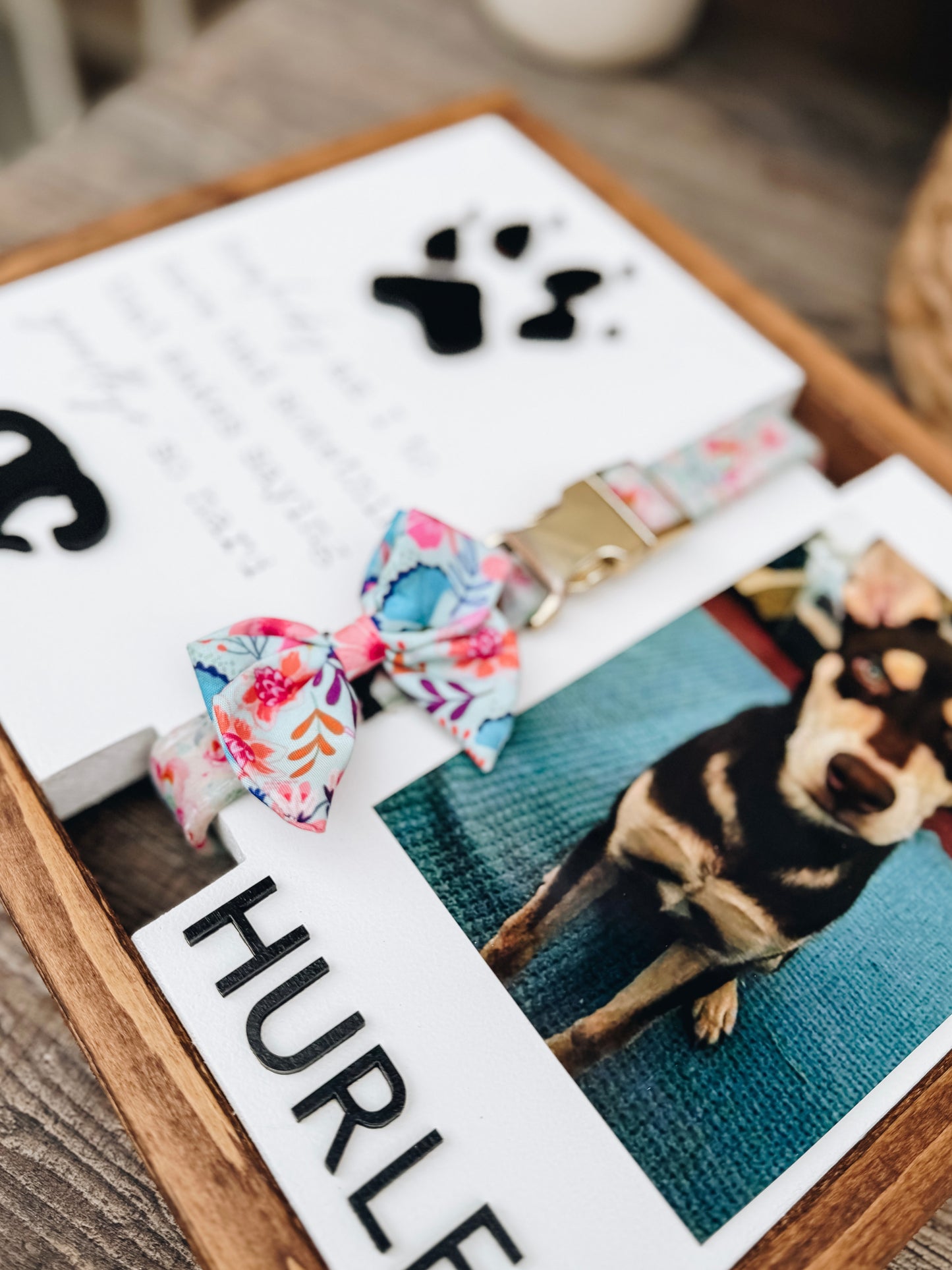 Custom Pet Sympathy Keepsake With Nose and Paw Print