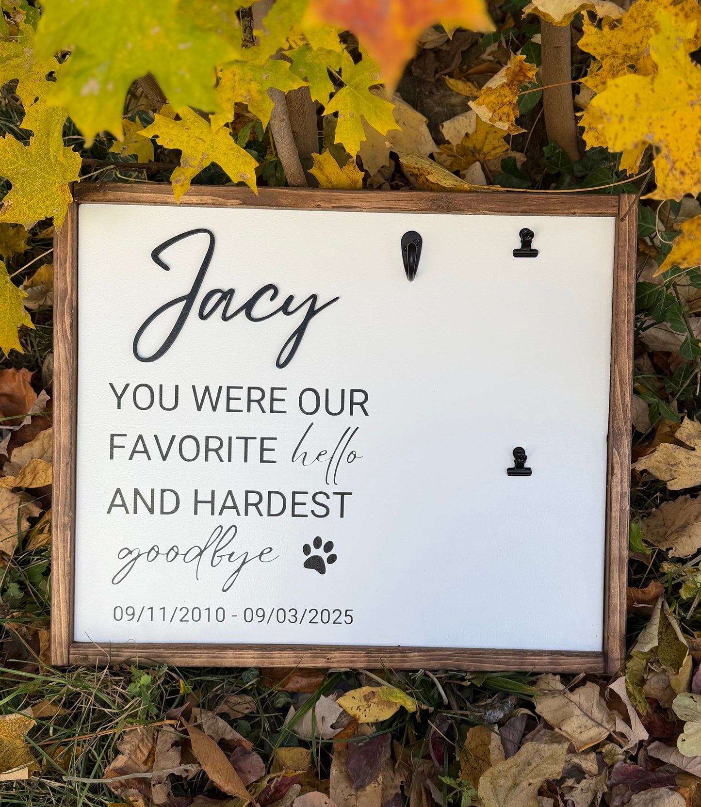 You Were My Favorite Hello  - LARGE Pet Memorial Collar Holder