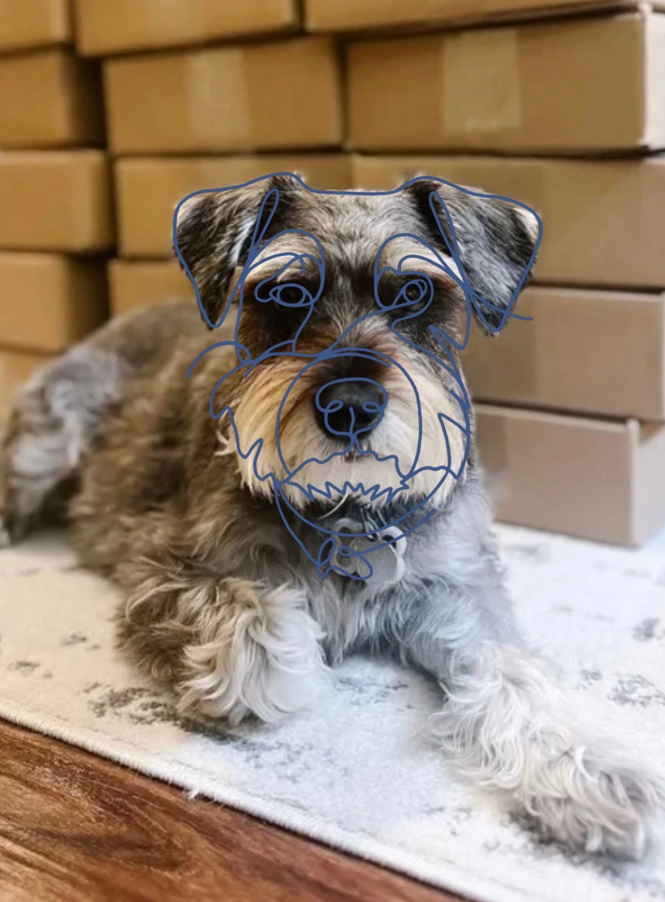 Custom Dog Portrait from Photo - Minimalist Pet Line Art