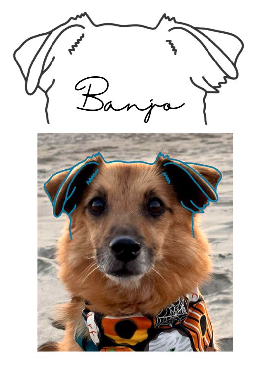 DIGITAL FILE - Custom Drawn Dog Ear Outline + Name