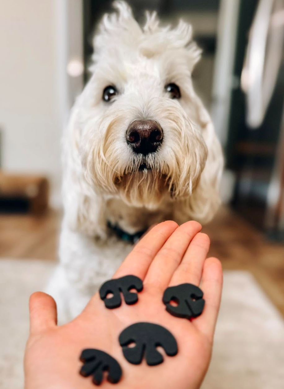 Custom dog nose print