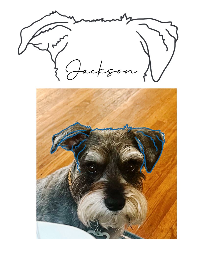 DIGITAL FILE - Custom Drawn Dog Ear Outline + Name
