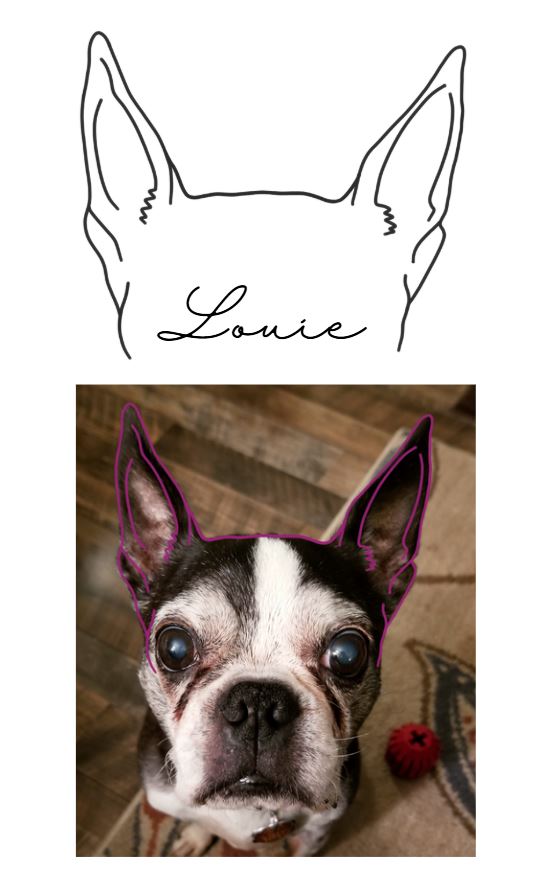 DIGITAL FILE - Custom Drawn Dog Ear Outline + Name